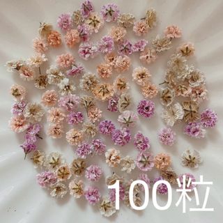 (04)かすみ草ドライフラワー100粒(ドライフラワー)