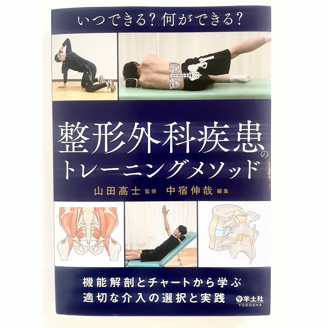 いつできる?何ができる?整形外科疾患のトレーニングメソッド エンタメ/ホビーの本(健康/医学)の商品写真