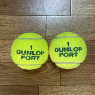 ダンロップ(DUNLOP)のダンロップテニスボール　２個　送料無料(ボール)