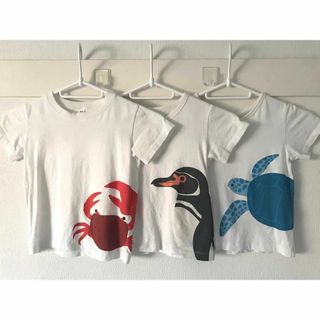 ムジルシリョウヒン(MUJI (無印良品))の☆無印良品　MUJI　カニペンギンカメ　プリント半袖Ｔシャツ（キッズ）3点☆(Tシャツ/カットソー)