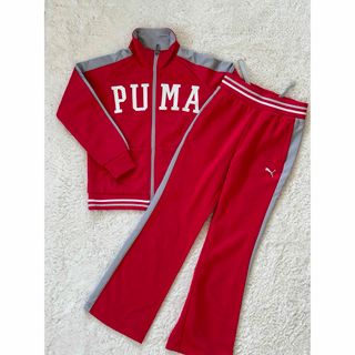 PUMA プーマ ジャージ 上下セット 130