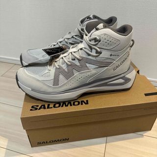 サロモン(SALOMON)の28 SALOMON Odyssey ELMT Mid GTX スニーカー(スニーカー)