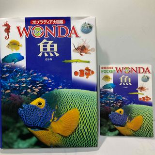 ポプラシャ(ポプラ社)の魚　ポプラディア大図鑑WONDA 美品(絵本/児童書)