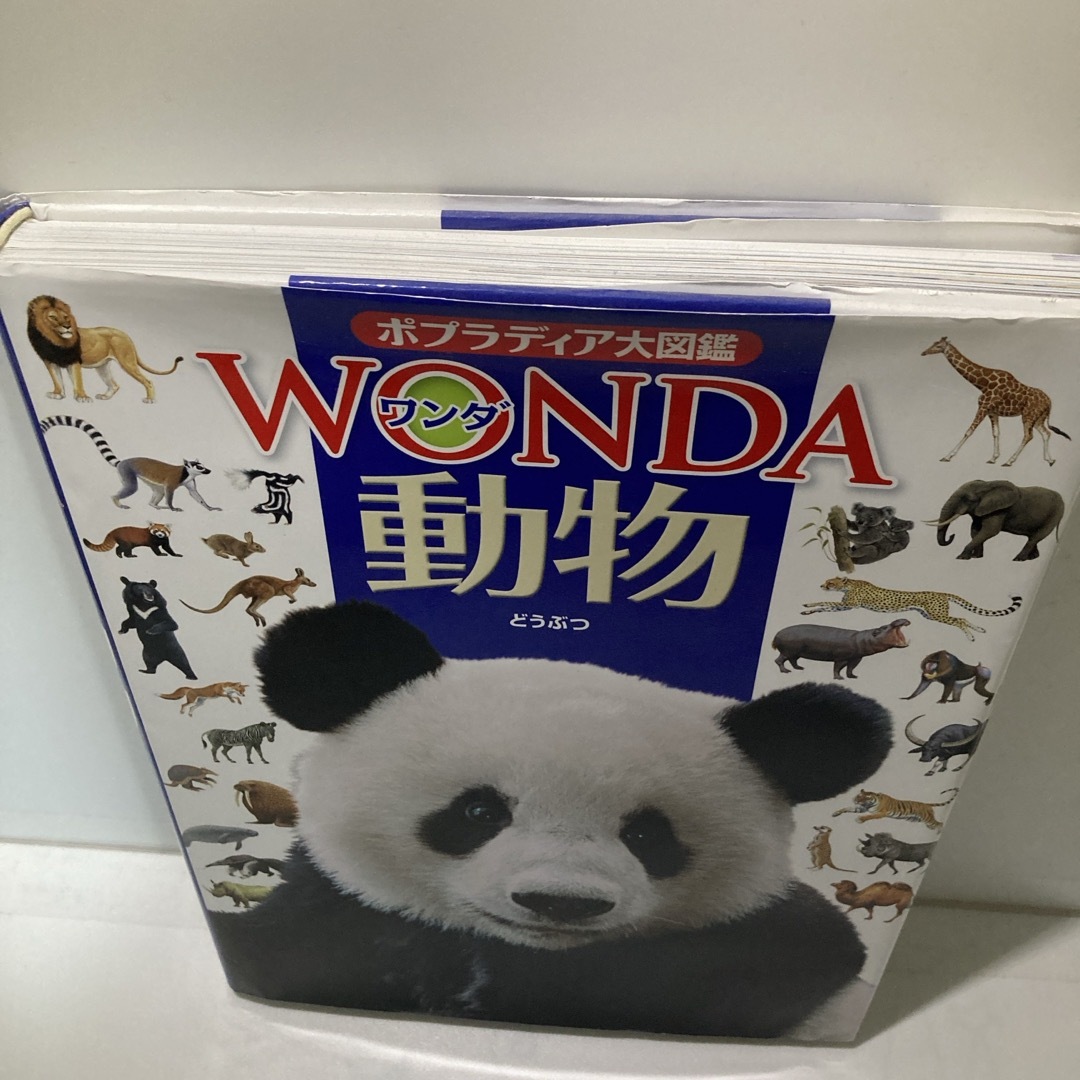 ポプラ社(ポプラシャ)の動物　ポプラディア大図鑑WONDA 美品 エンタメ/ホビーの本(絵本/児童書)の商品写真