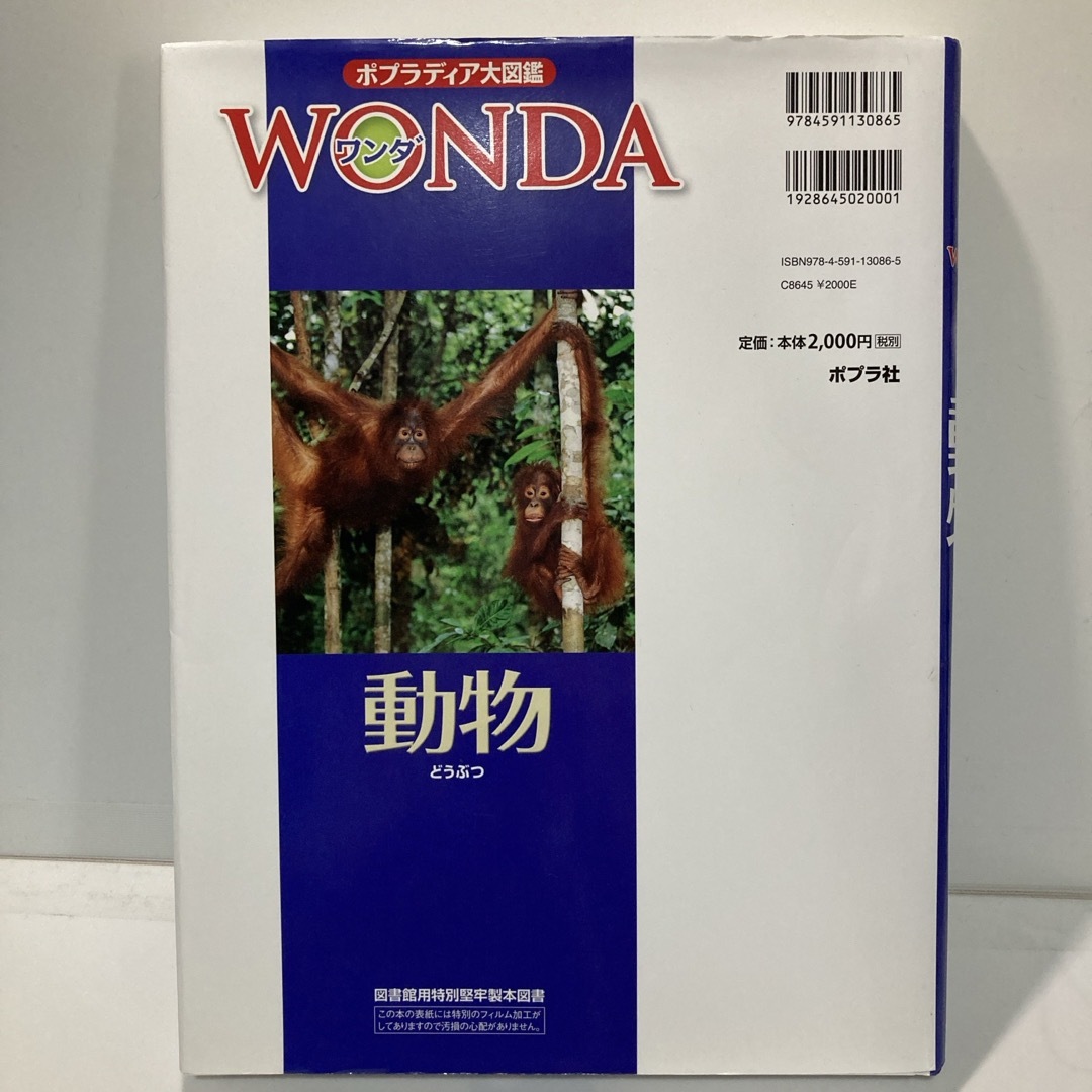 ポプラ社(ポプラシャ)の動物　ポプラディア大図鑑WONDA 美品 エンタメ/ホビーの本(絵本/児童書)の商品写真