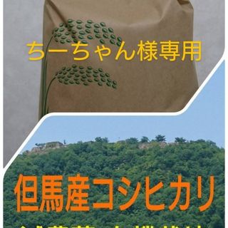 ちーちゃん様専用(米/穀物)