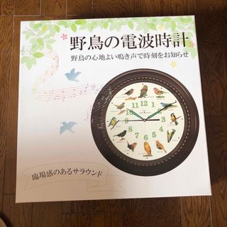 値下げ野鳥の電波時計(掛時計/柱時計)