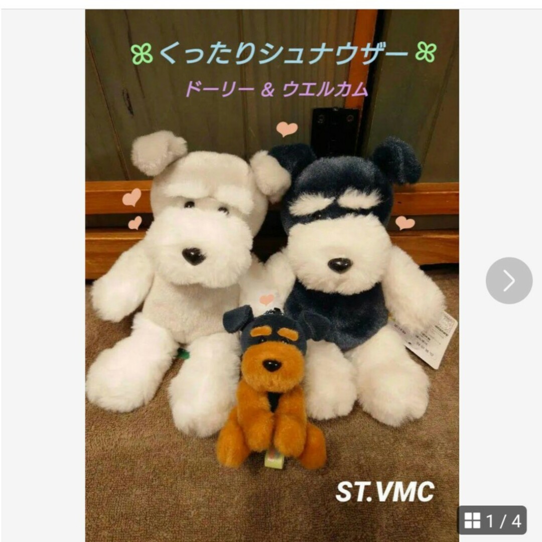 57500円 くったりシュナウザー ドーリー & ウエルカム セット 57500円 くったりシュナウザー ドーリー & ウエルカム セット