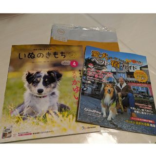 ベネッセ(Benesse)のいぬのきもち最新号 2024.4(犬)