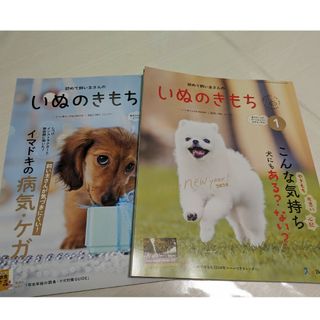 ベネッセ(Benesse)のいぬのきもち　12月号、1月号(犬)