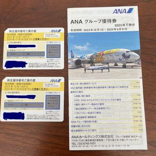 エーエヌエー(ゼンニッポンクウユ)(ANA(全日本空輸))のANA 株主優待券 2枚(その他)