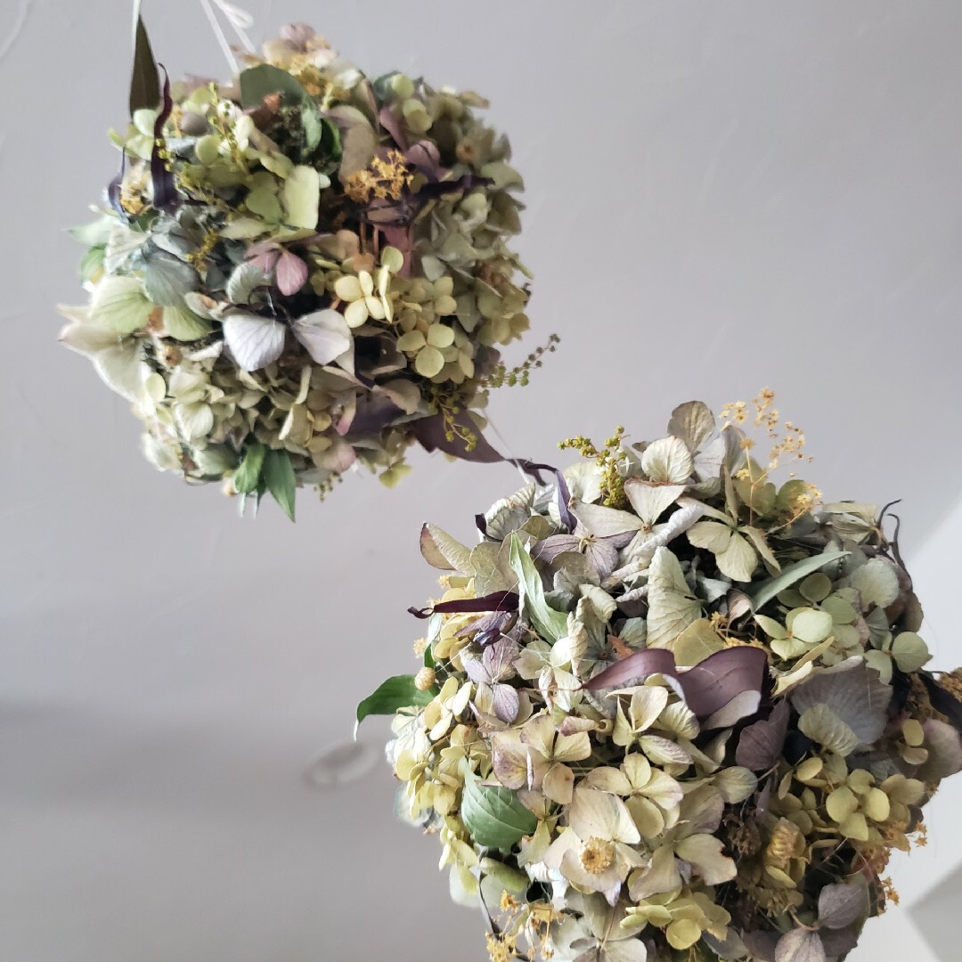 ドライフラワー 紫陽花のフライングリースとフラワーボール3種類 ドライフラワー 紫陽花のフライングリースとフラワーボール3種類