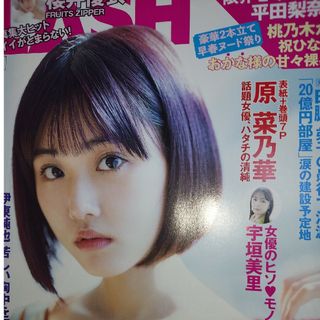 FLASH (フラッシュ) 2024年 3/19号 [雑誌](ニュース/総合)