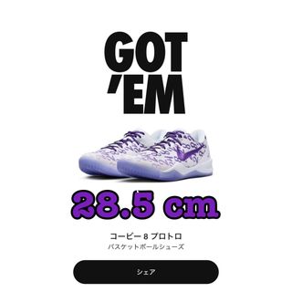 ナイキ(NIKE)のNike Kobe 8 Protro Court Purple ナイキ コービー(スニーカー)