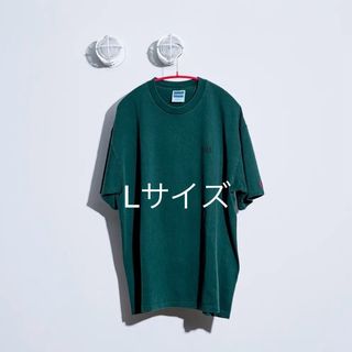 ワンエルディーケーセレクト(1LDK SELECT)のADI PIGMENT DYE TEE (GREEN) Lサイズ(Tシャツ/カットソー(半袖/袖なし))