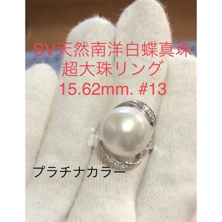 SV天然南洋白蝶真珠　超大珠リング　15.62mm #13(リング(指輪))