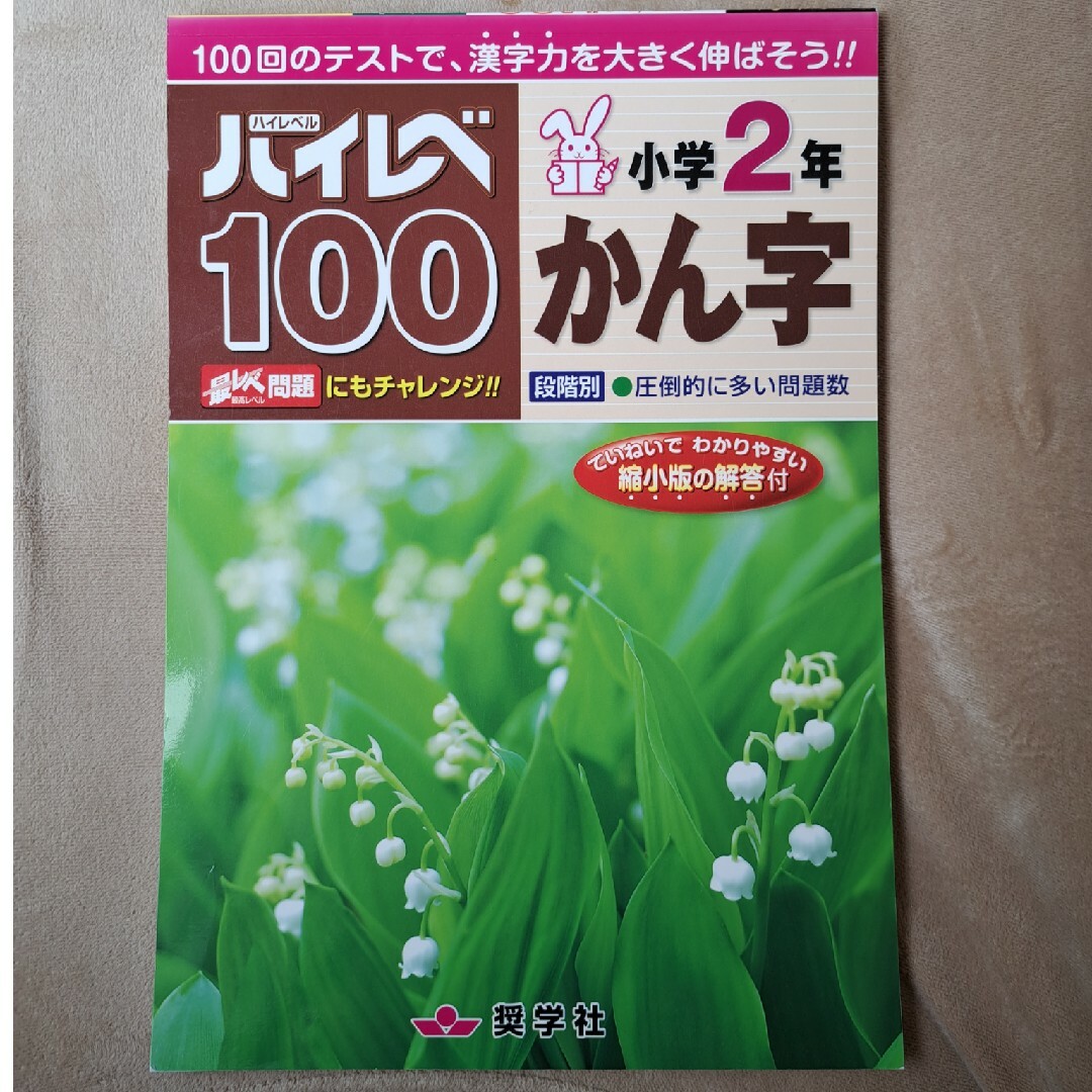 ハイレベ１００小学２年かん字 エンタメ/ホビーの本(語学/参考書)の商品写真