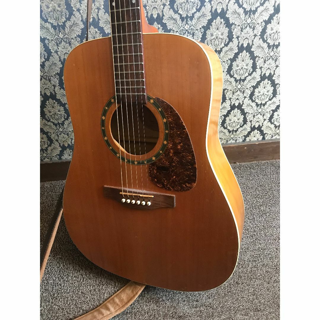 Norman Protege B18 Cedar アコースティック ギター  楽器のギター(アコースティックギター)の商品写真