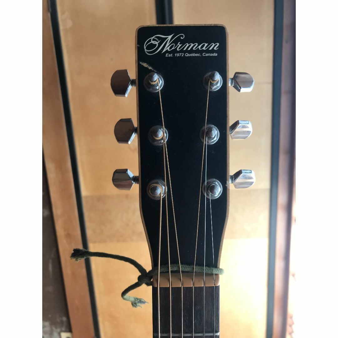 Norman Protege B18 Cedar アコースティック ギター  楽器のギター(アコースティックギター)の商品写真