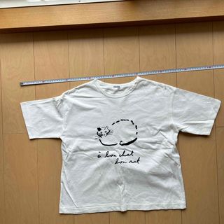 キャトルセゾン(quatre saisons)のキャトルセゾン　カットソー　Tシャツ(Tシャツ(半袖/袖なし))