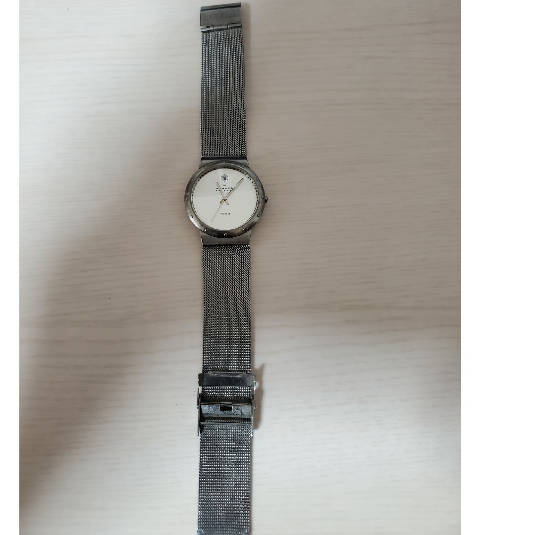 SKAGEN(スカーゲン)の時計 SKAGEN メンズの時計(腕時計(アナログ))の商品写真