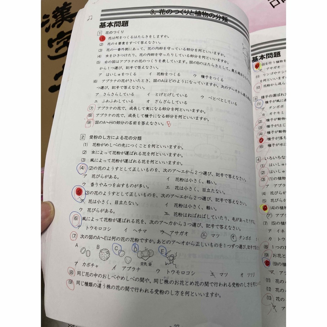 能開センター　5年生　算数国語理科　18冊セット エンタメ/ホビーの本(語学/参考書)の商品写真