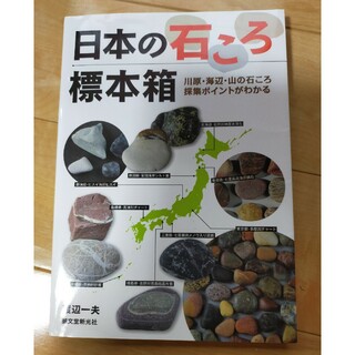 日本の石ころ標本箱(趣味/スポーツ/実用)