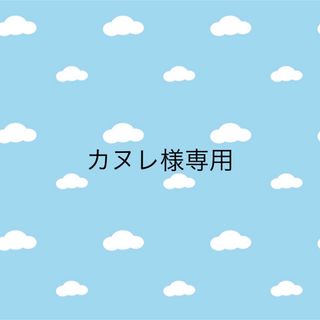 カヌレ様専用(その他)