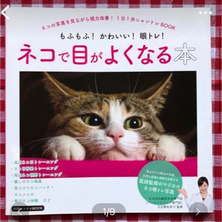 ☆星☆プロフ必読さま 専用 眼トレ！ネコの写真を見ながら視力改善！(生活/健康)