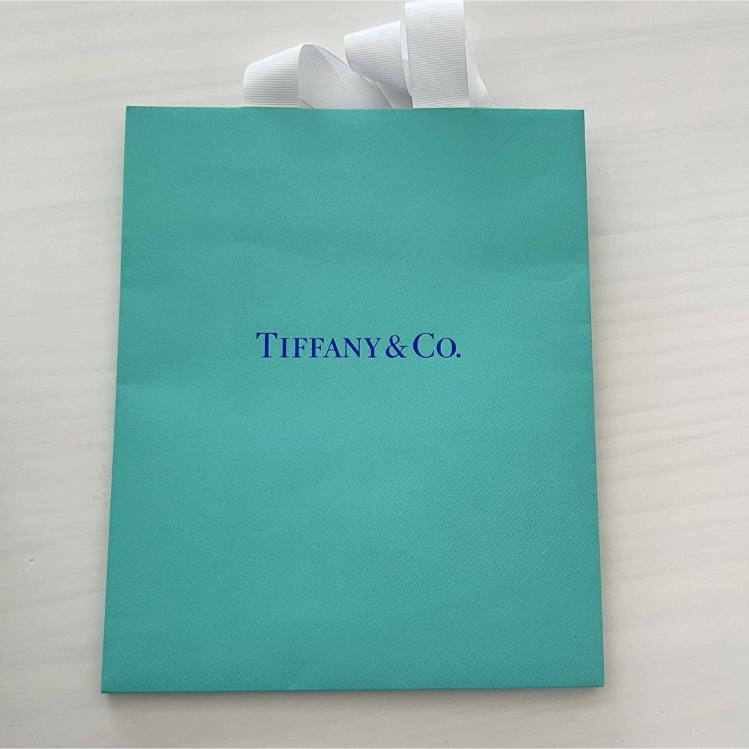 Tiffany & Co.(ティファニー)のティファニー バードオンアロック ノベルティチャーム ショッパー レディースのバッグ(ショップ袋)の商品写真