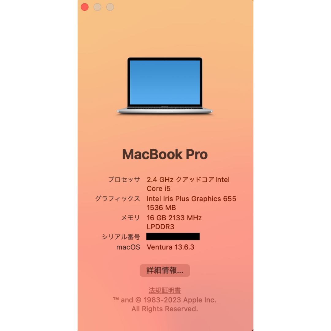 Apple(アップル)のMacBook Pro 2019 13インチ 16GB 512GB スマホ/家電/カメラのPC/タブレット(ノートPC)の商品写真
