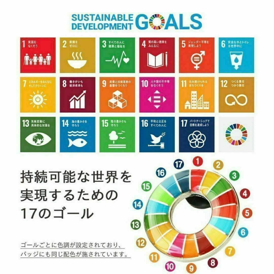 【大セール】SDGs ピンバッチ 国連本部正規品　1点 インテリア/住まい/日用品のオフィス用品(その他)の商品写真