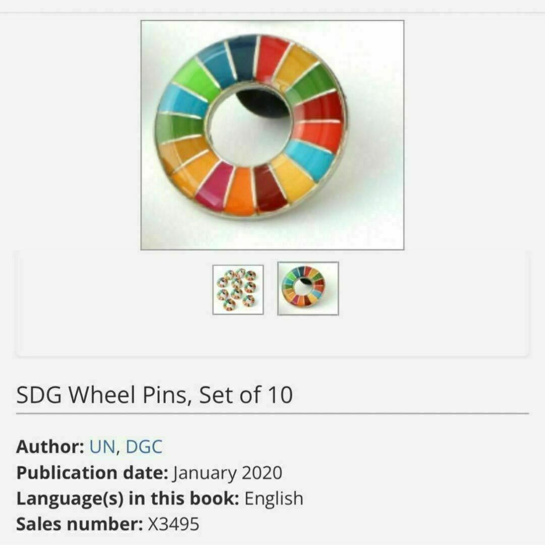 【大セール】SDGs ピンバッチ 国連本部正規品　1点 インテリア/住まい/日用品のオフィス用品(その他)の商品写真