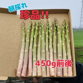 珍品アスパラガス450g(野菜)