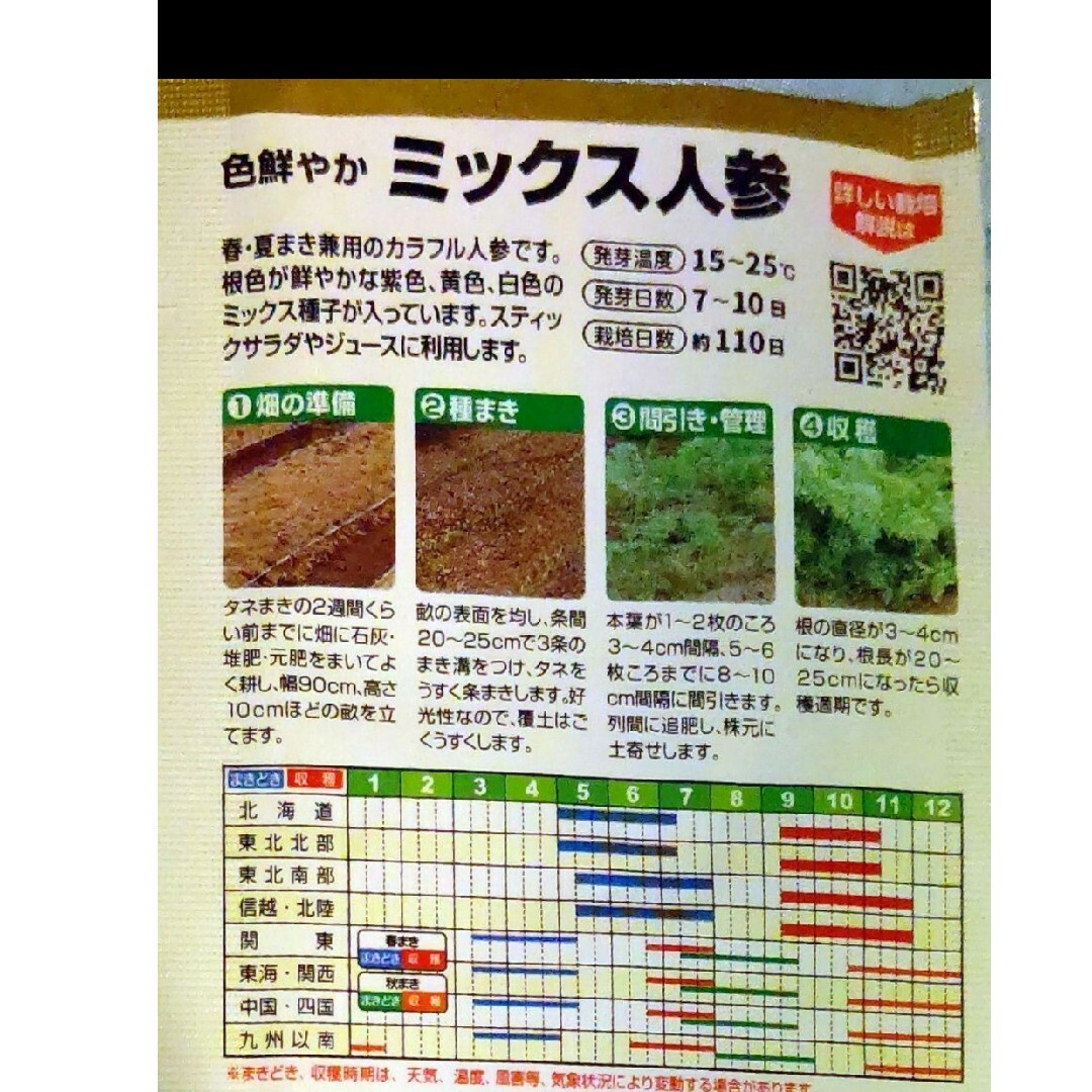 カラフルニンジン 野菜種 家庭菜園 にんじん プランター 食品/飲料/酒の食品(野菜)の商品写真