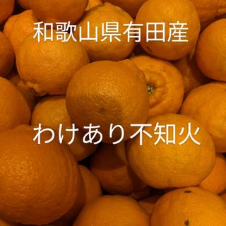 和歌山県有田産　わけあり不知火5kg(フルーツ)