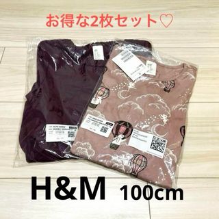 エイチアンドエム(H&M)の新品❤️H&M長袖トップス2枚セット 100cm 女の子(うさぎ/妖精/フリル)(Tシャツ/カットソー)