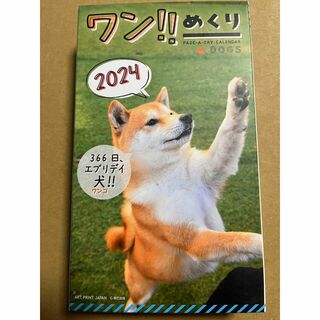 A.P.J. - ワン!! めくり カレンダー 犬　2024年 日めくり　卓上カレンダー 