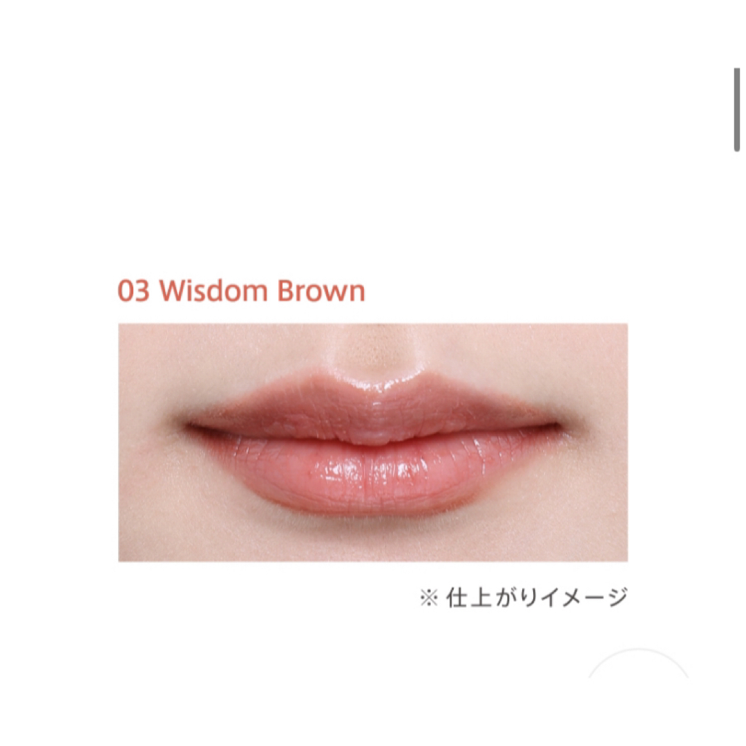 est(エスト)のエスト ティンティッド プラウド リップス03：Wisdom Brown コスメ/美容のベースメイク/化粧品(口紅)の商品写真