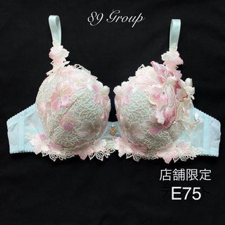 ワコール(Wacoal)のサルート 89G 店舗限定 E75(ブラ)