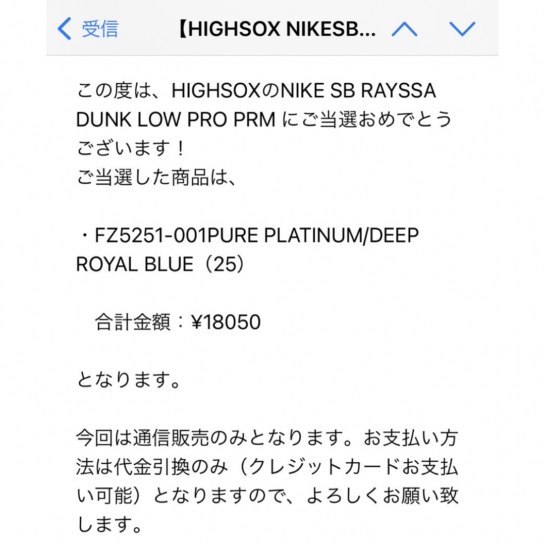 NIKE(ナイキ)のNike SB Dunk x Rayssa Leal メンズの靴/シューズ(スニーカー)の商品写真