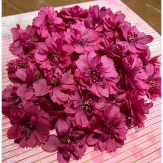 銀の紫陽花のお花畑で咲いた美しいボルドー色の寒緋桜のドライフラワー42冠‼️(ドライフラワー)