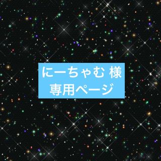 にーちゃむ 様 専用ページ(その他)