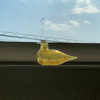 iittala - 2008アニュアルバードCucunor/イッタラ オイヴァトイッカの iittala - 2008アニュアルバードCucunor/イッタラ オイヴァトイッカの