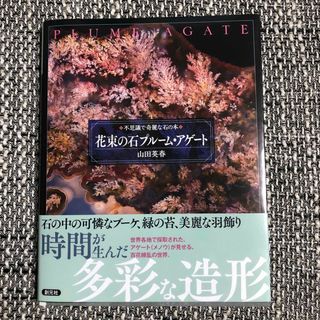 花束の石　プルーム・アゲート　不思議で綺麗な石の本(科学/技術)