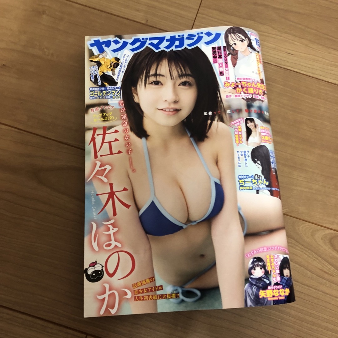 講談社(コウダンシャ)のヤングマガジン 2024年 3/25号 [雑誌 ］No.15 エンタメ/ホビーの雑誌(アート/エンタメ/ホビー)の商品写真