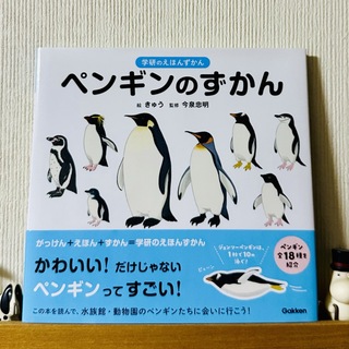 ガッケン(学研)のペンギンのずかん(絵本/児童書)