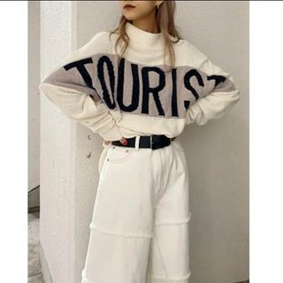 ジェイダ(GYDA)のGYDA TOURISTモールジャガードニットTOPS(ニット/セーター)