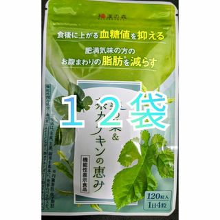 和漢の森　桑の葉アンド茶カテキンの恵み　１２０粒入り　１２袋(その他)