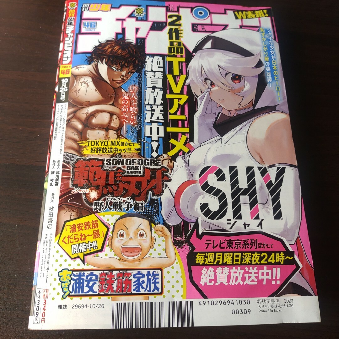 秋田書店(アキタショテン)の日向坂46 渡辺莉奈  ポスター付  週刊少年チャンピオン  46号  応募券無 エンタメ/ホビーの漫画(少年漫画)の商品写真